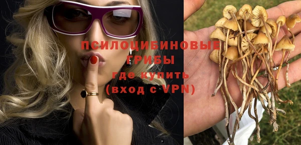 мяу мяу мука Баксан