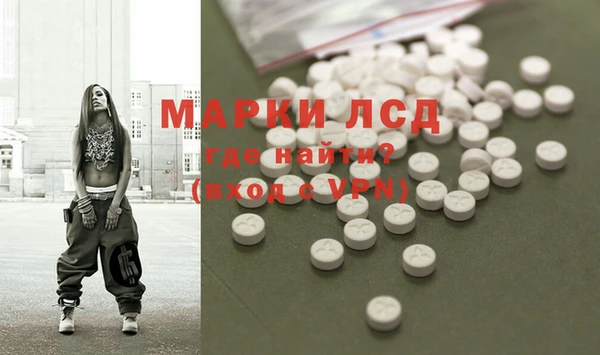 мяу мяу мука Баксан